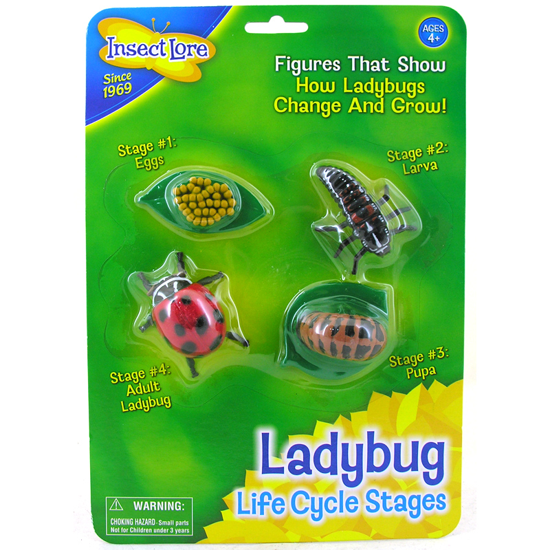 Insect Lore Life Cycle Animal Figure Set Choose Frog, Ant, Ladybug or  Butterfly