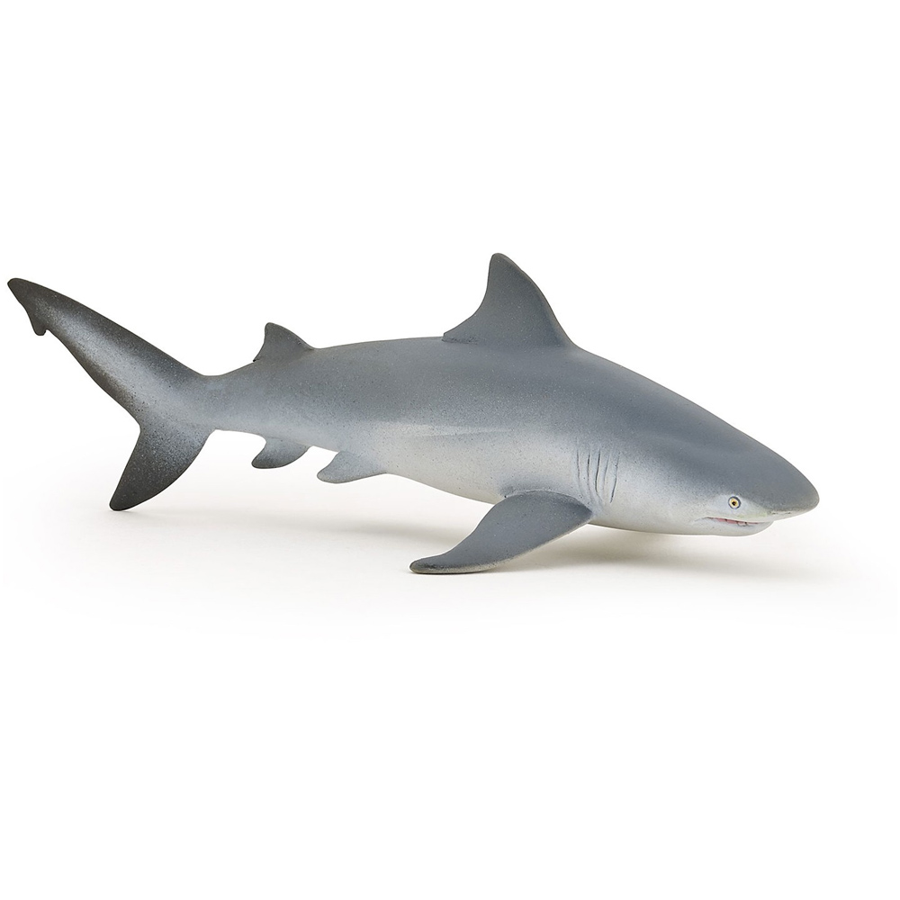 figure of shark