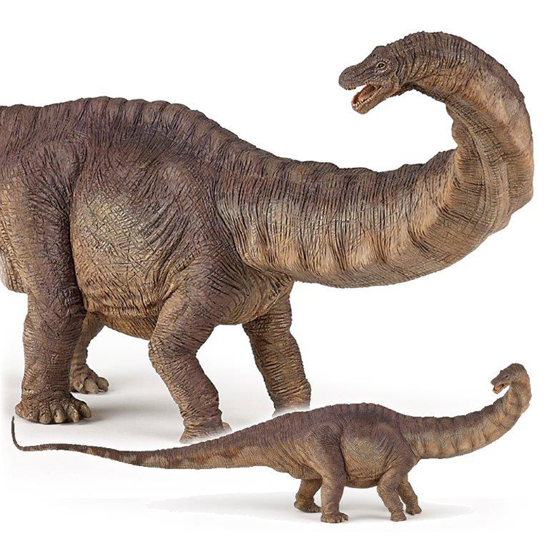 Papo Apatosaurus Dinosaur Collectable Figure Highly Detailed Ages 3+ eBay