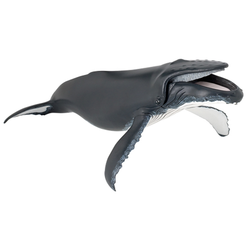 papo humpback whale