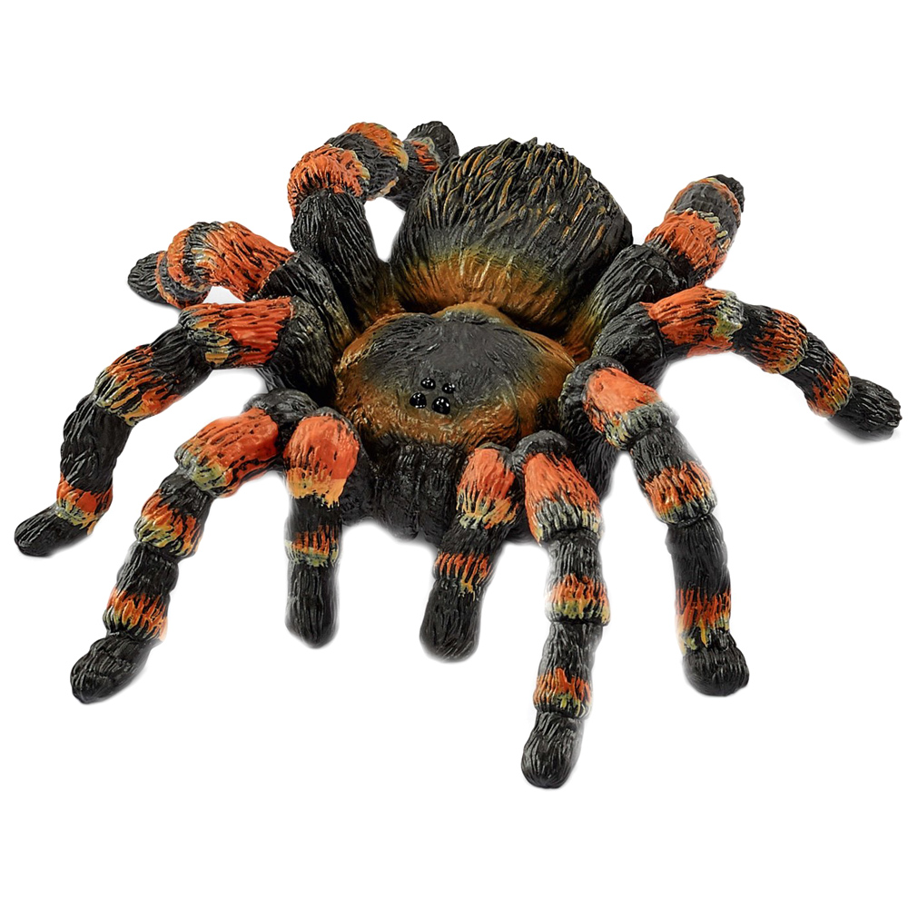 tarantula figure